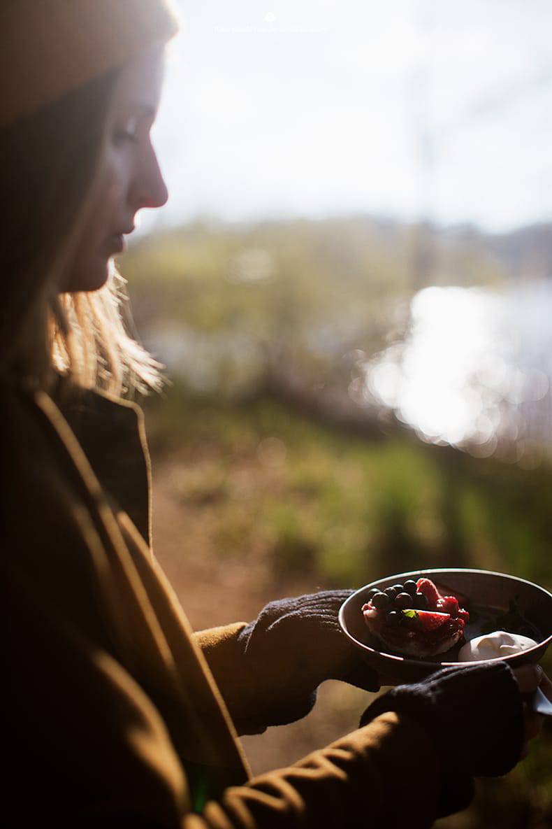 English berry pudding